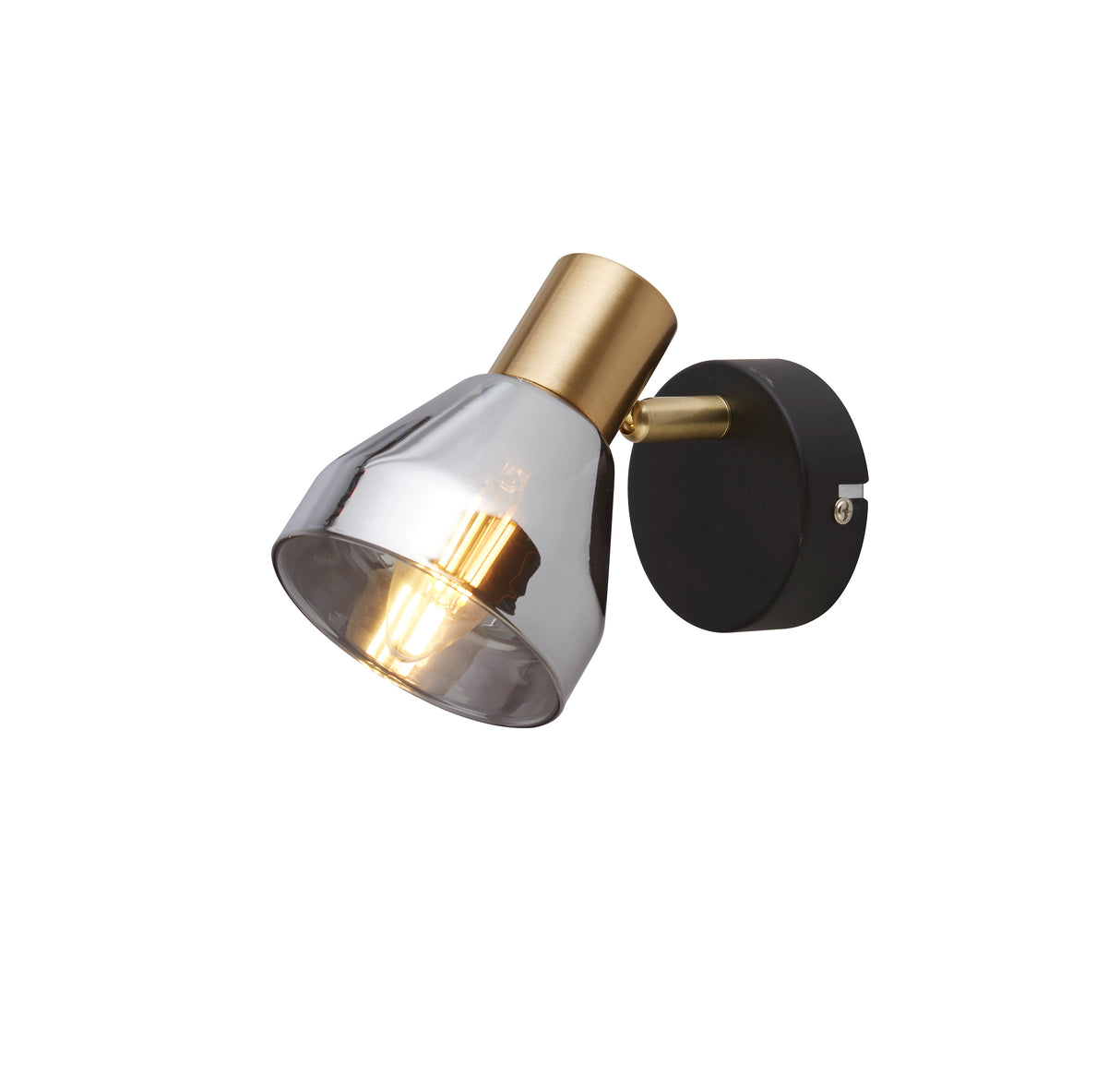 Westminster Spotlight - Black, Satin Brass Metal & Smoked