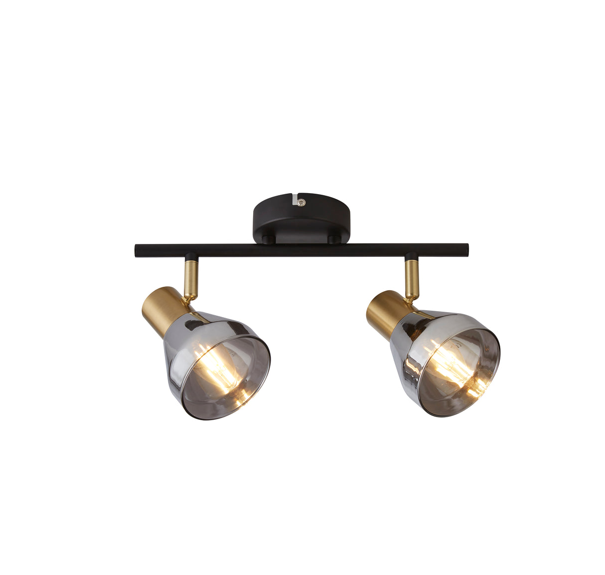 Westminster 2Lt Spot - Black, Satin Brass Metal & Smoked