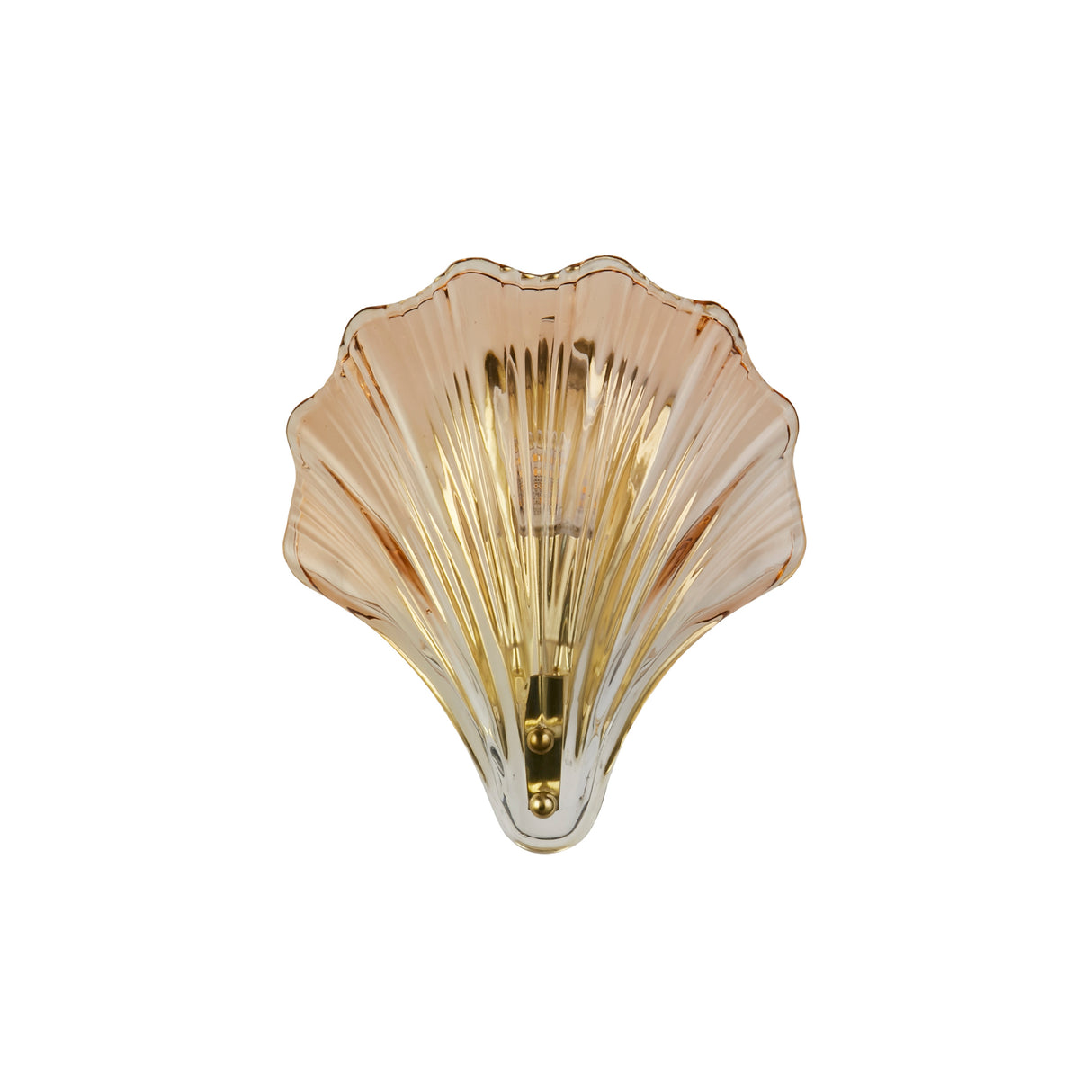 Searchlight Electric Shell 1Lt Wall Light, Satin Brass Metal & Amber Glass IP44 28980SB