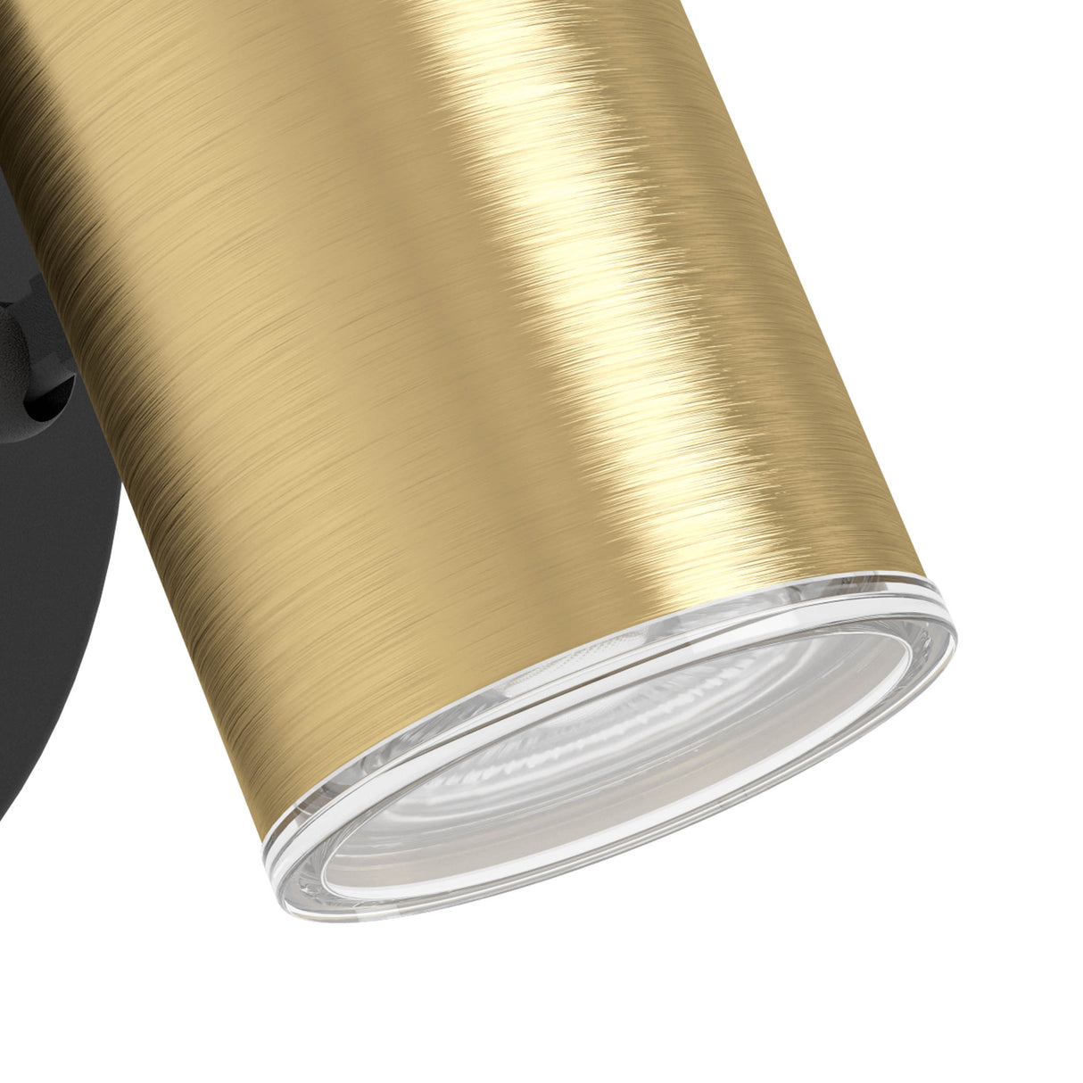 Eglo EU Consuma 1 LED Single Bathroom Spotlight Black & Brushed Brass Steel