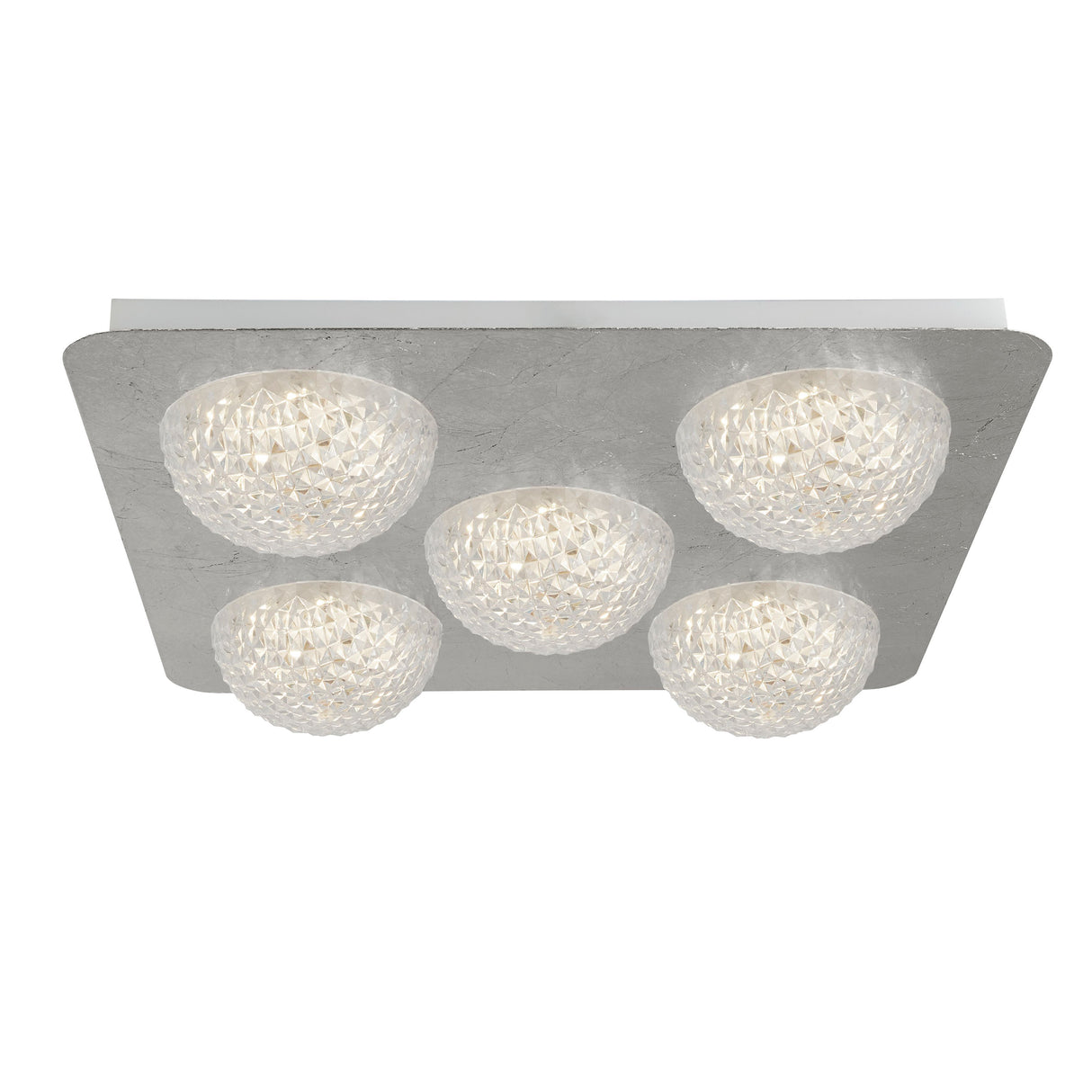 Celestia 5Lt Flush - Silver Metal & Acrylic
