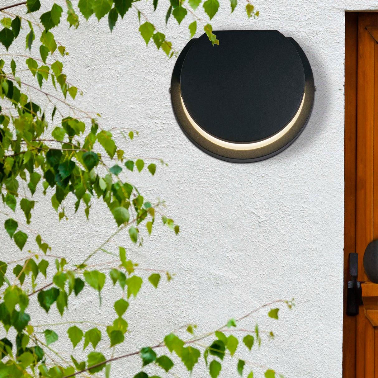 Searchlight Electric Chiswick LED Outdoor Wall Light, Black 36110BK