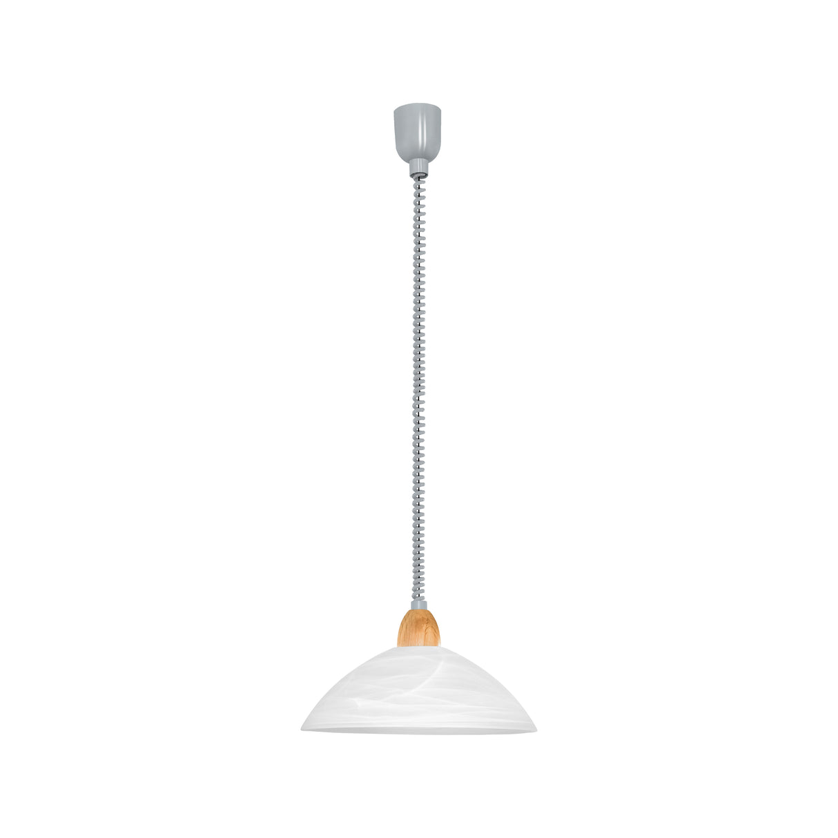 Eglo EU Lord 2 Plastic & Glass Silver Height-Adjustable Single Pendant