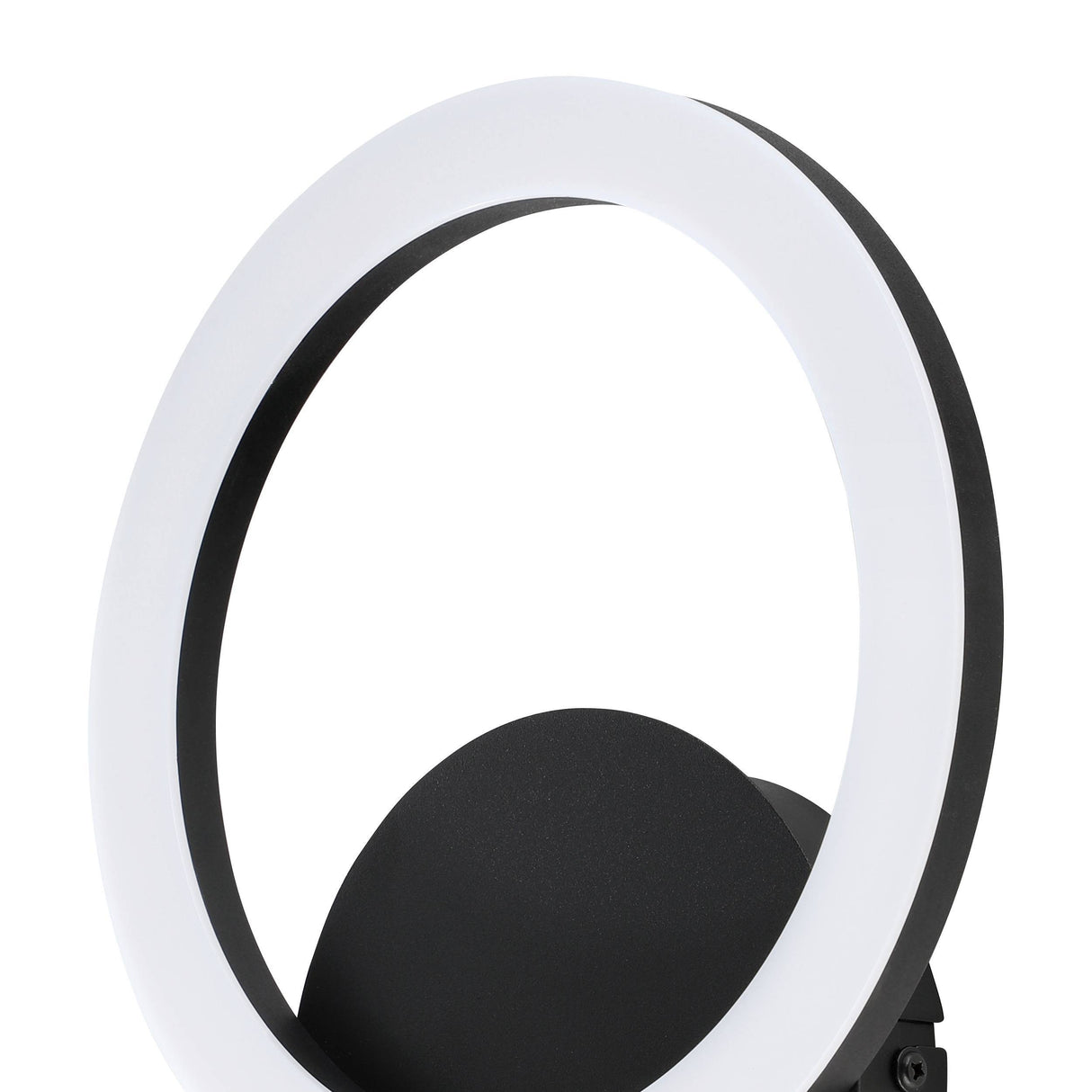 Eglo EU PARRAPOS?Z LED Wall Light – Black Steel, Tuneable White, Smart App & Remote Control, Indoor Lighting