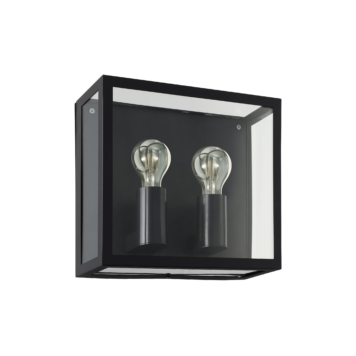 Eglo EU Alamonte 1 2-Light Caged Industrial Outdoor Wall Light