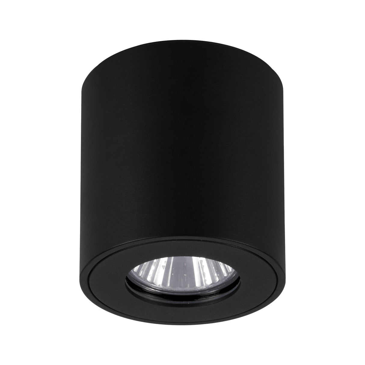 Eglo EU Torrecola Black Metal Cyclindrical Outdoor Ceiling Light