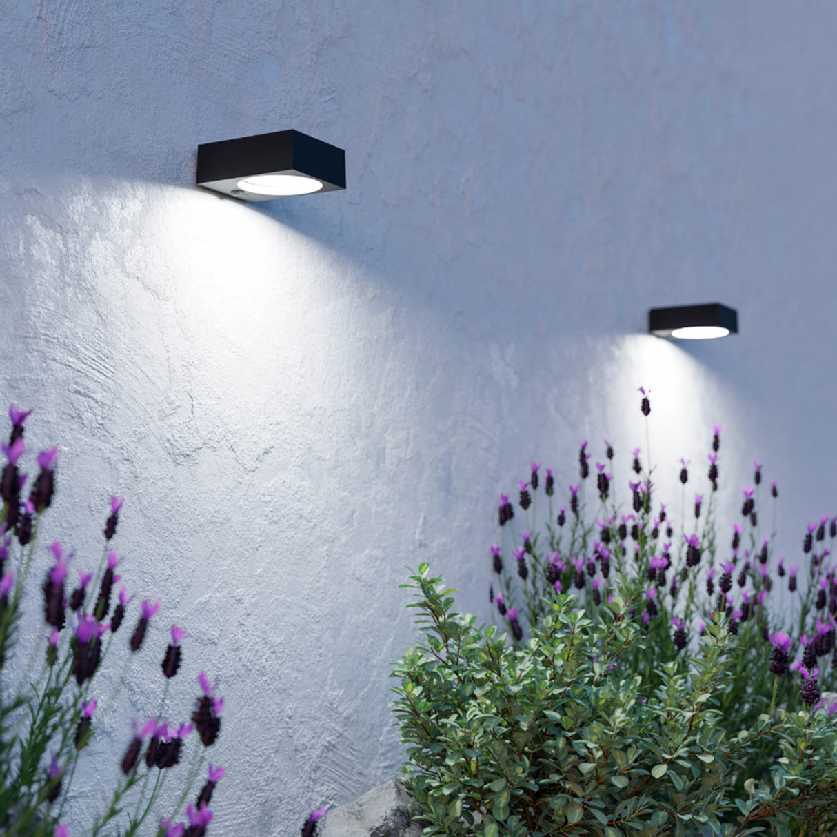 Eglo EU Darfano LED Outdoor Solar Wall Light Matte Black with Motion Sensor