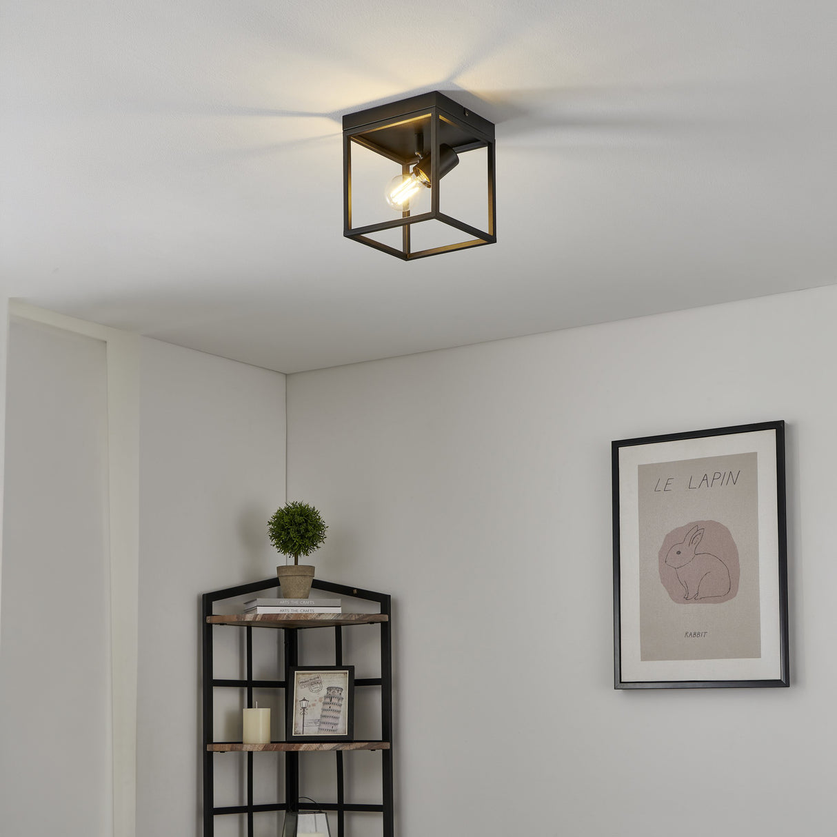 Eglo EU Silentina Industrial Caged Steel Single Spotlight Ceiling Light