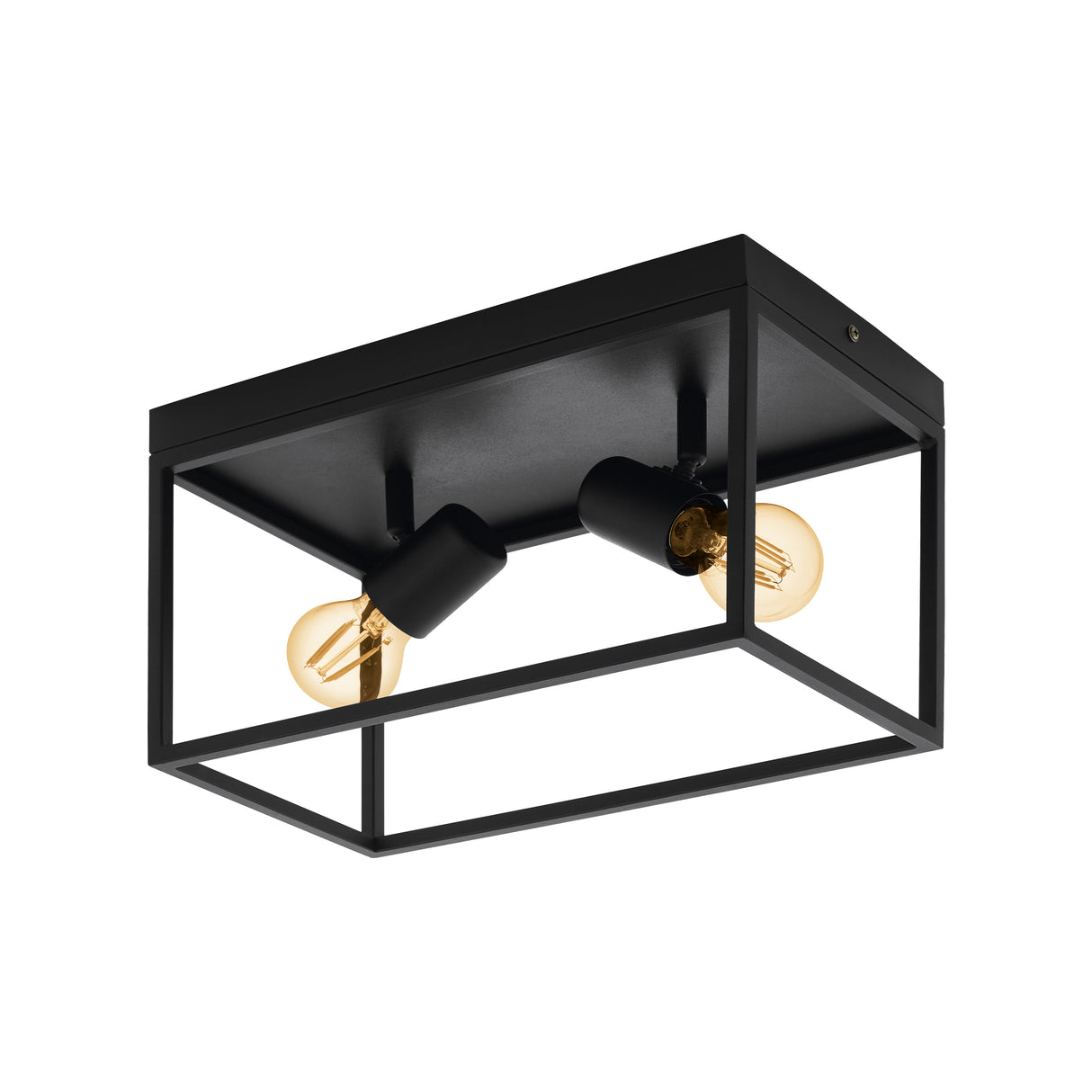 Eglo EU Silentina Industrial Caged Steel 2-Spotlight Ceiling Light