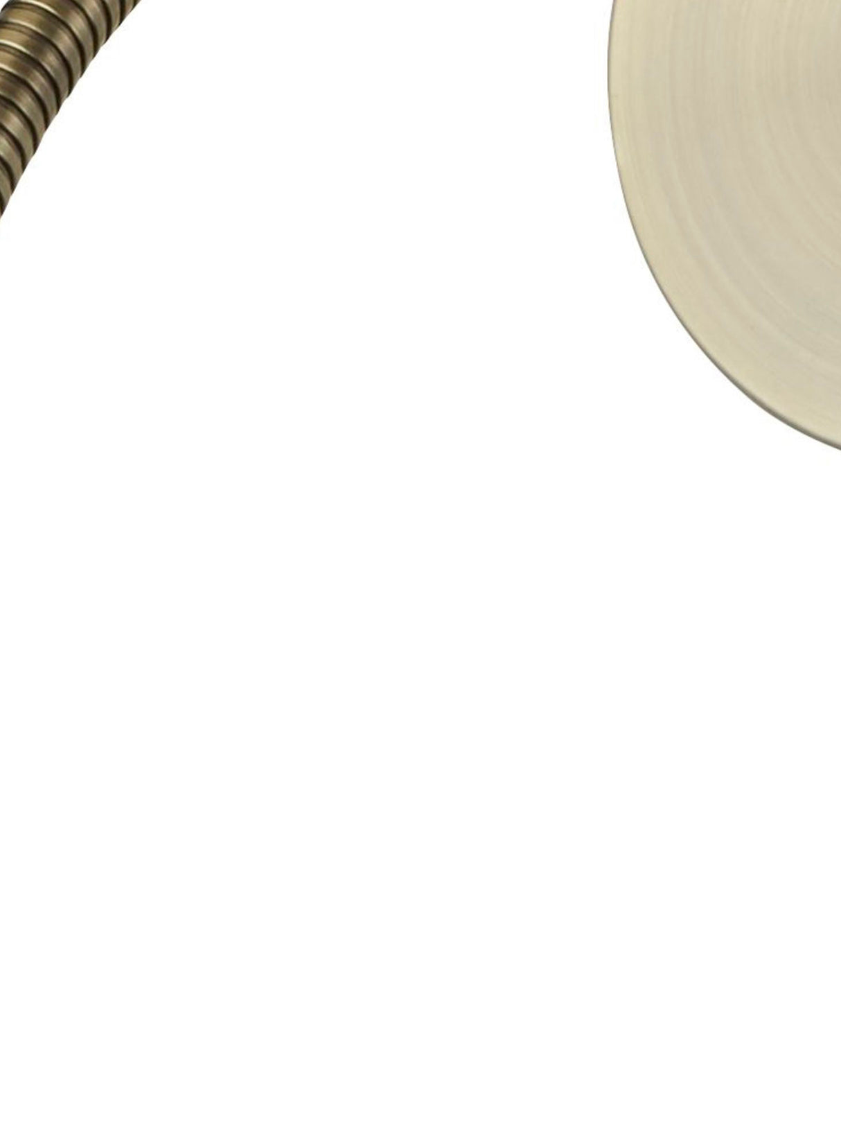 Searchlight Electric Flexy Wall Light - Antique Brass Metal 9917AB