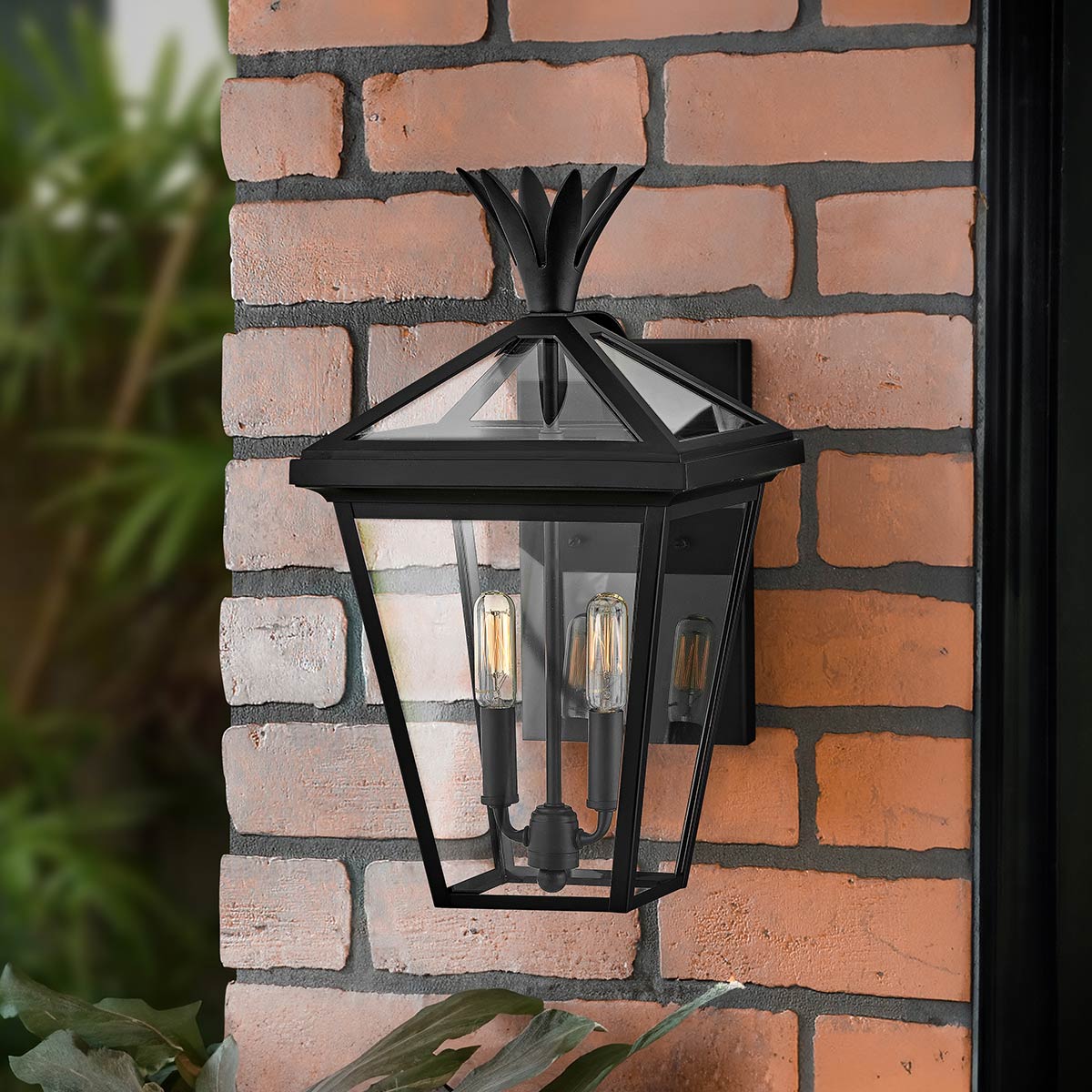Hinkley Palma 2lt Medium Wall Lantern HK-PALMA-M-BK