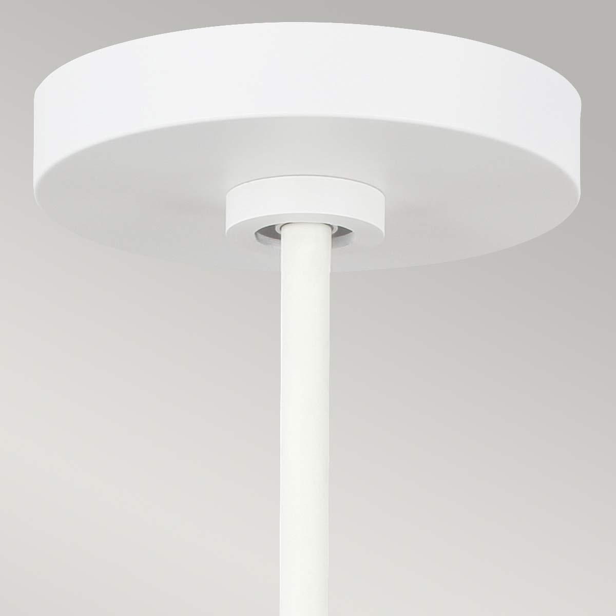 Feiss Pendant from the Darwin range. Darwin 1 Light Pendant Product Code = FE-DARWIN-P