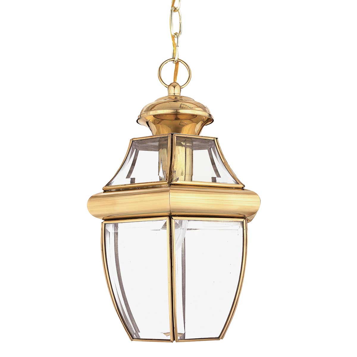 Quoizel Outdoor Hanging from the Newbury range. Newbury 1 Light Medium Chain Lantern Product Code = QZ-NEWBURY8-M-PB
