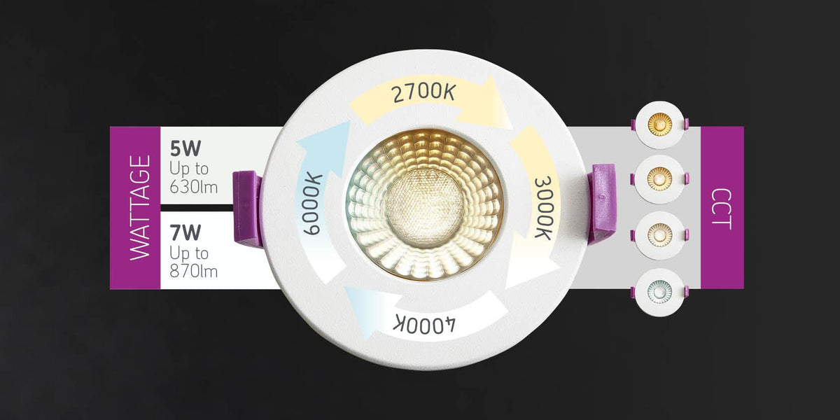 Britech Accessory Led Module Versatile and Broad Range of Wiring Accessories and LED Lighting – UK ...