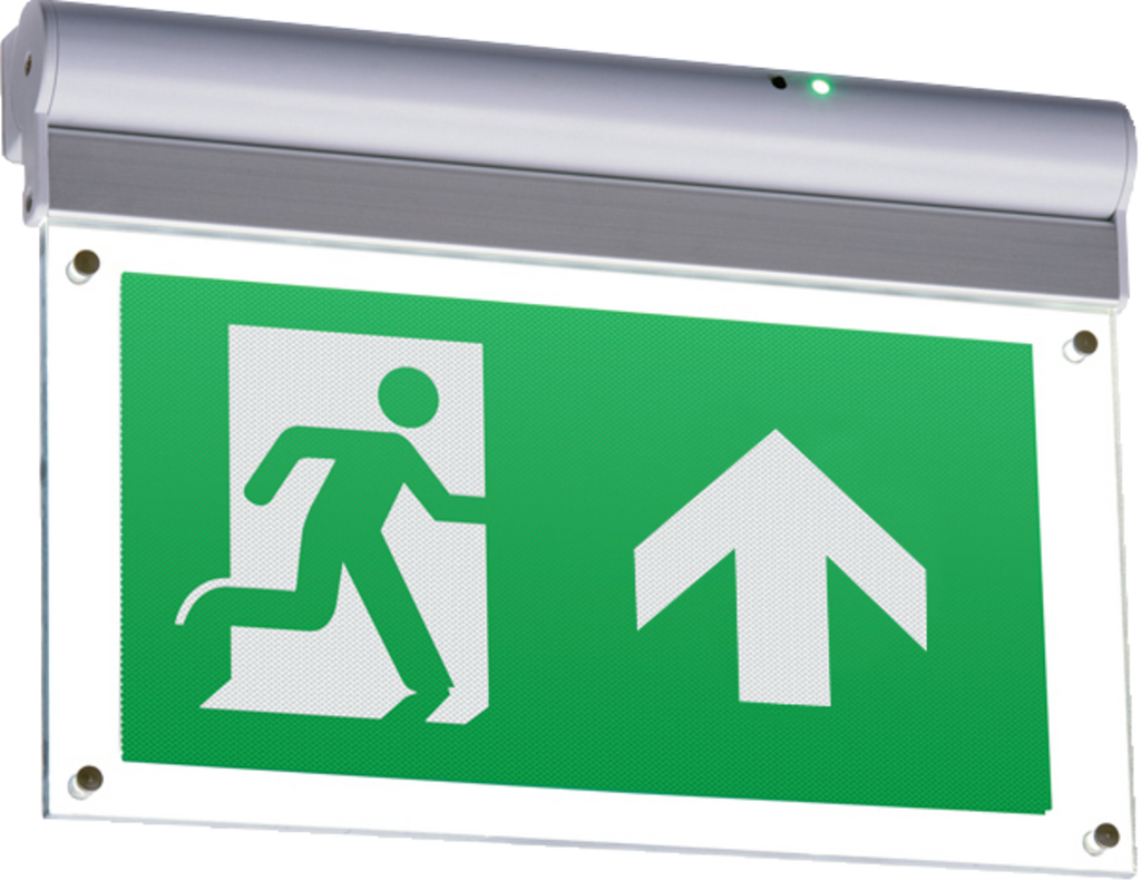 All Emergency Exit Lighting and Signs