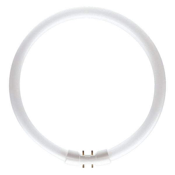 Circular T5 - First Light Direct - LED Lamps and Lighting 