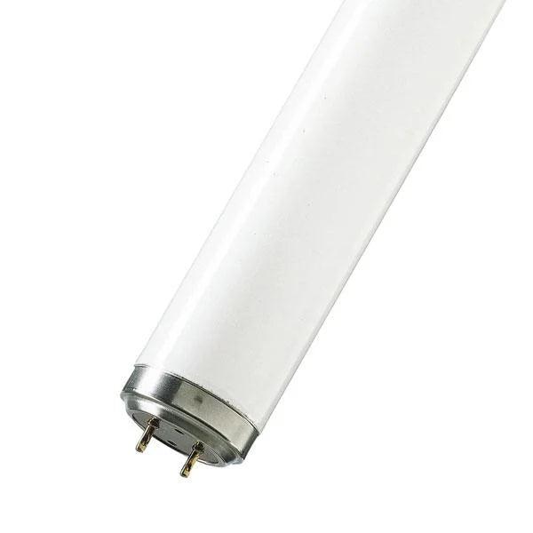 Blacklight T12 UV Tubes - First Light Direct - LED Lamps and Lighting 