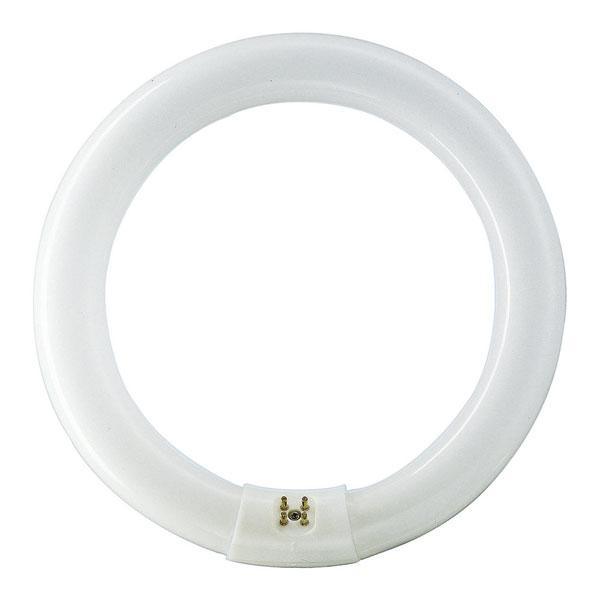 Circular T9 - First Light Direct - LED Lamps and Lighting 