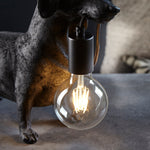 Endon Lighting Dachshund 101188 Dachshund Table Light