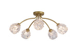 Astral 5Lt Flush, Gold Metal With Glass Shades