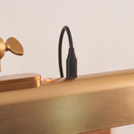 Endon Lighting Dalyan Rechargeable 124636 Dalyan Rechargeable Picture Light