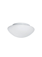 Tokyo  2Lt Flush - White Metal & Opal Glass
