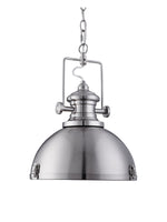Louisiana Pendant  - Satin Silver Metal & Clear Lens