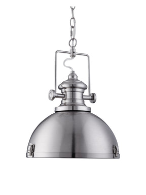 Louisiana Pendant  - Satin Silver Metal & Clear Lens