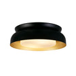 Kendal 2Lt Flush, Black & Gold Metal with Frosted Diffuser
