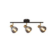 Westminster 3Lt Spot-Black, Satin Brass Metal & Smoked Glass