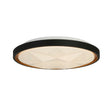 Satellite LED Flush, Black with Star Effect Diffuser