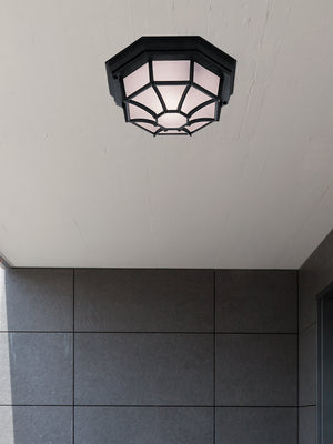 Searchlight Electric Vermont Outdoor Wall/Ceiling Light - Black Metal & Glass 2942BK