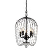 Shower 5Lt Pendant  - Black Metal & Clear Crystal