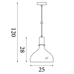Searchlight Electric Margarita Pendant - Brass Metal & Clear Glass 31031-1PB