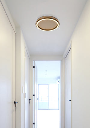 Searchlight Electric Stellar LED ceiling lamp - Latte Metal with Acrylic 31283-36LT