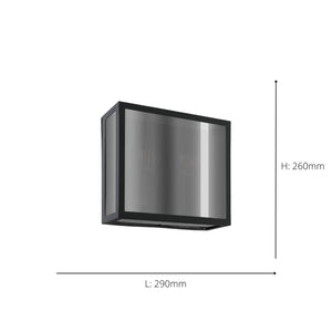Eglo EU Alamonte Smoke Black Steel Industrial Outdoor Wall Light