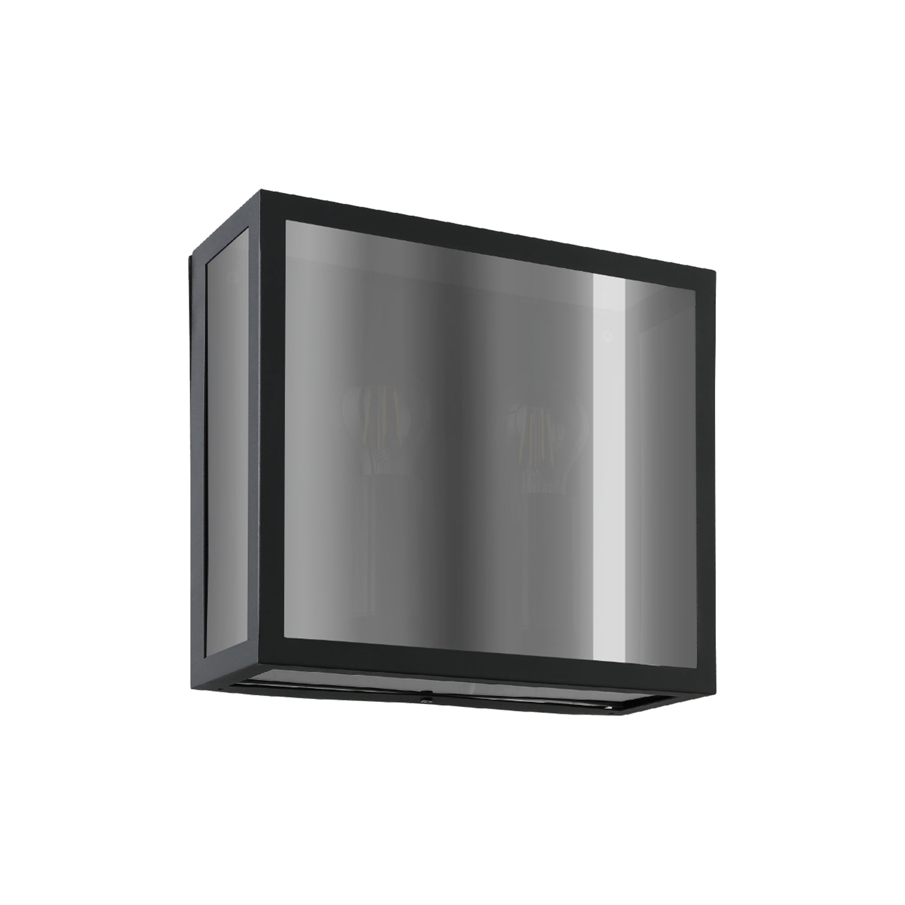 Eglo EU Alamonte Smoke Black Steel Industrial Outdoor Wall Light