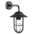 Toronto Outdoor Wall Light - Black Metal & Clear Glass