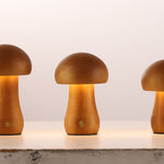 Searchlight Electric Asher - Set of 3 Rechargeable Table Lamps 34125NA