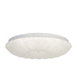 Pandora LED Flush, Clear Acrylic