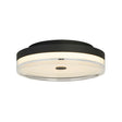 Cyprus LED Flush, Black Metal and Clear Acrylic