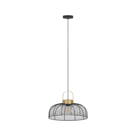 Eglo EU Roundham Black Wire Pendant Light with Brass Accent