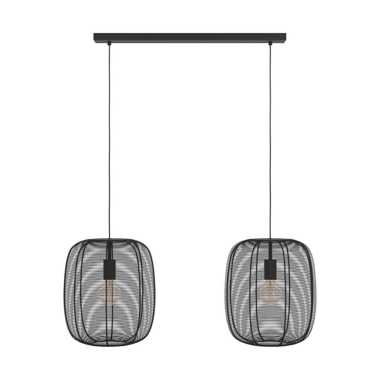 Eglo EU Rinroe Black Steel Wire 2-Light Pendant