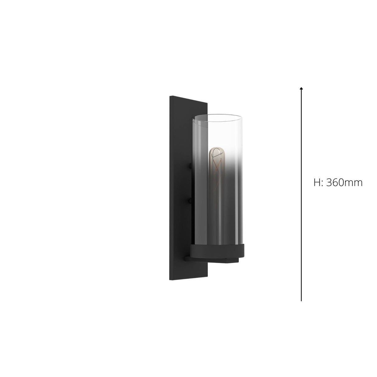 Eglo EU Toothill Modern Glass & Steel Wall Light