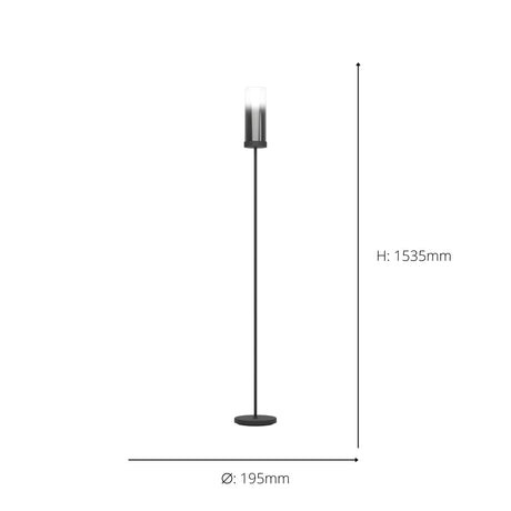 Eglo EU TOOTHILL Floor Lamp – Vintage Black Steel Frame with Smoked Glass Shade, E27, Foot Switch
