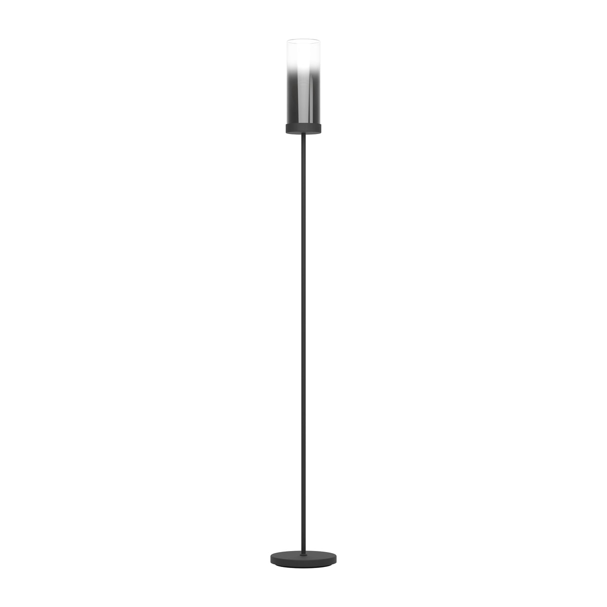 Eglo EU TOOTHILL Floor Lamp – Vintage Black Steel Frame with Smoked Glass Shade, E27, Foot Switch