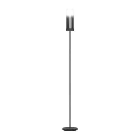 Eglo EU TOOTHILL Floor Lamp – Vintage Black Steel Frame with Smoked Glass Shade, E27, Foot Switch
