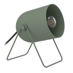 Eglo Lighting TL/1 E14 LODENGRÜN 'TILSTON' Vintage from the TILSTON range. Part Number - 44136
