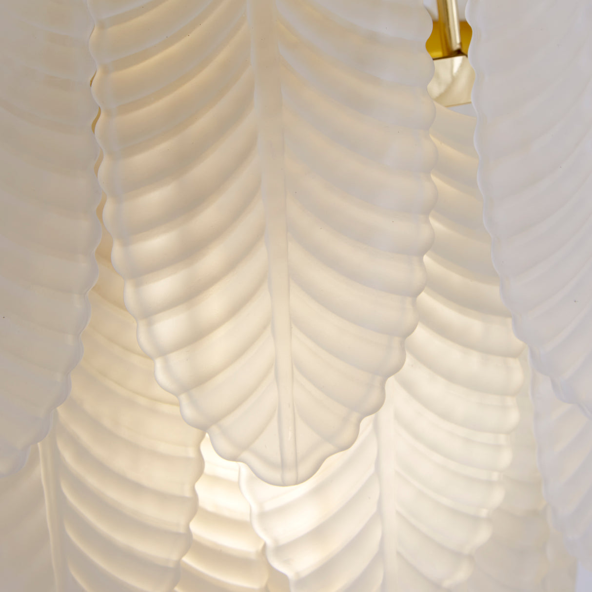 Searchlight Electric Feather Wall Light, Polished Brass with Frosted Feather Gla 48910-1SB