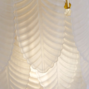 Searchlight Electric Feather Wall Light, Polished Brass with Frosted Feather Gla 48910-1SB
